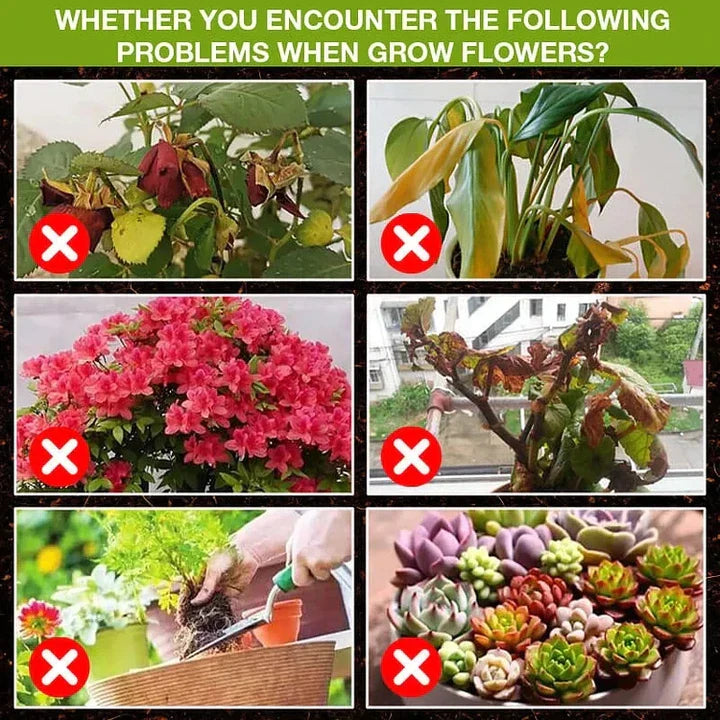 Plant Growth Enhancer Supplement(50% OFF)