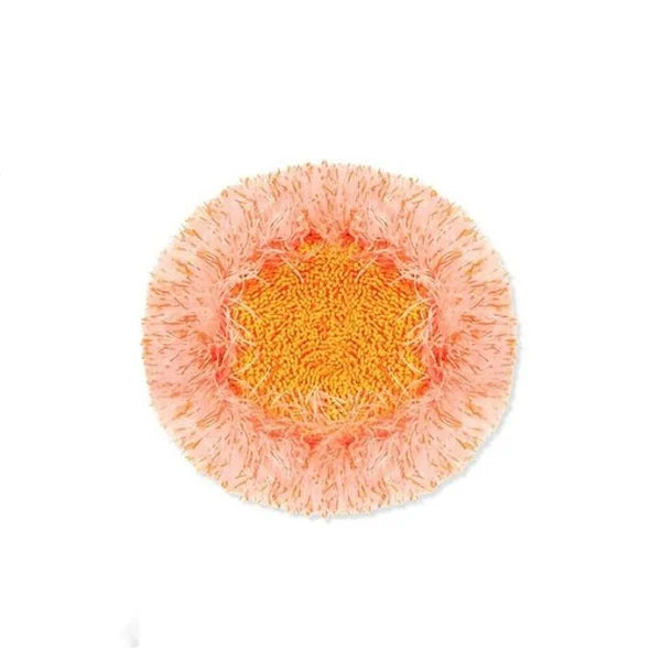 🎁2024 New Year Hot Sale🎁(🔥 Promotion-SAVE 50% OFF) 360° Rotatable Adjustable Cleaning Mop