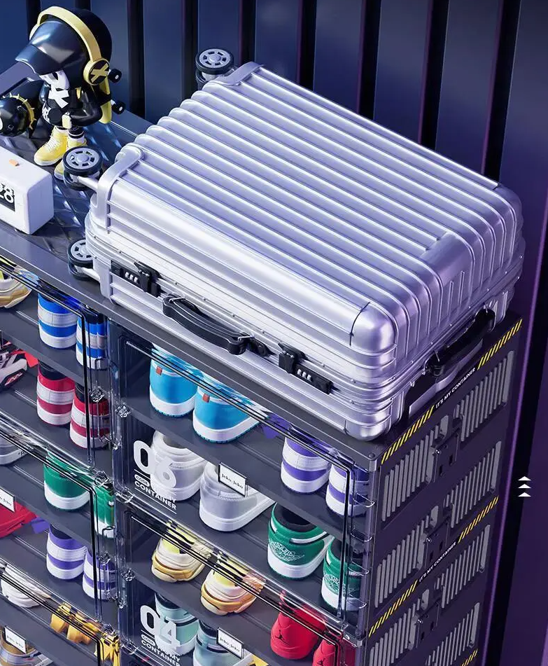 🥾Dust-Free Black Portable Shoe Organizer🎁