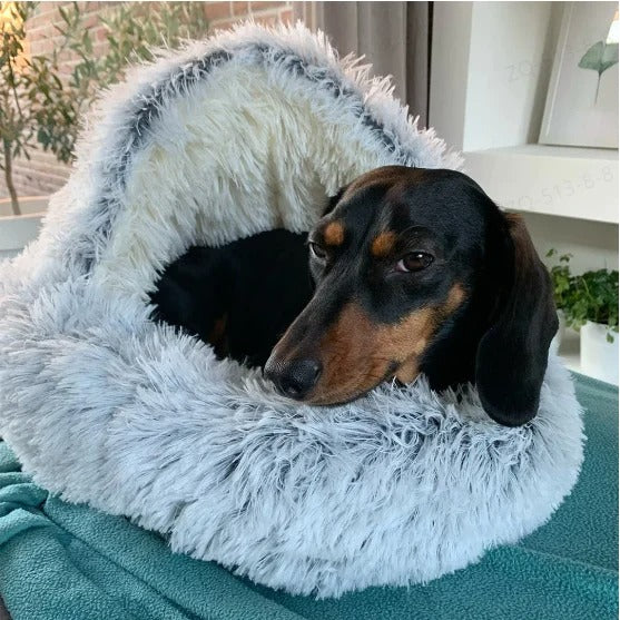 🐶CozyCave😺 - Premium Pet Bed 🔥69% SALE🔥 - Buy More Save More
