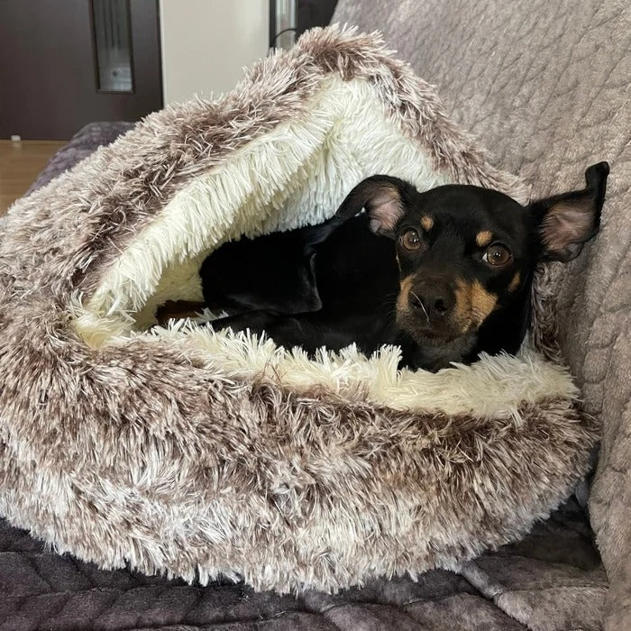 🐶CozyCave😺 - Premium Pet Bed 🔥69% SALE🔥 - Buy More Save More