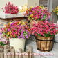 🎉 Hot Sale 50% OFF🎉Realistic UV-Resistant Outdoor Flowers – Zero Maintenance